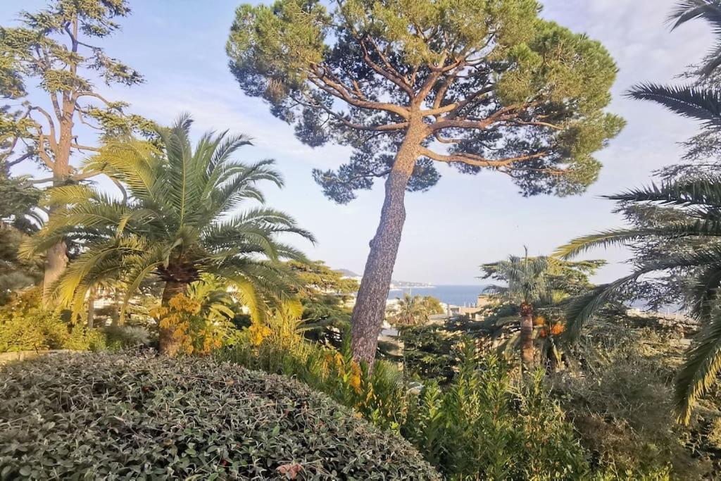 Vue Mer Nice: Appartement Familial avec Piscine Exterior photo